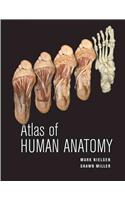 Atlas of Human Anatomy