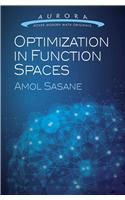 Optimization in Function Spaces