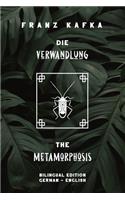 Die Verwandlung / The Metamorphosis