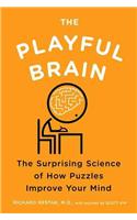 The Playful Brain