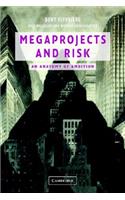 Megaprojects and Risk