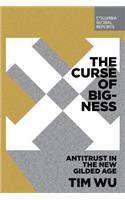 The Curse of Bigness