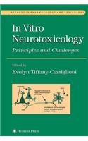 In Vitro Neurotoxicology