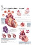 Understanding Heart Disease Chart