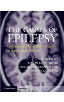 The Causes of Epilepsy: Common and Uncommon Causes in Adults and Children