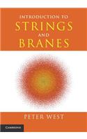 Introduction to Strings and Branes