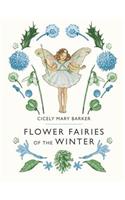 Flower Fairies of the Winter