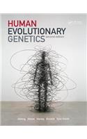 Human Evolutionary Genetics