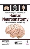 Inderbir Singh's Textbook of Human Neuroanatomy