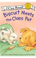 Biscuit Meets the Class Pet