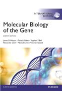 Molecular Biology of the Gene