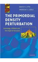 The Primordial Density Perturbation