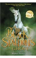 Black Stallion's Ghost