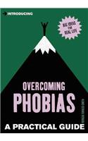 Introducing Overcoming Phobias