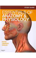 Study Guide for Essentials of Anatomy & Physiology