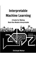 Interpretable Machine Learning