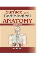 Surface and Radiological Anatomy