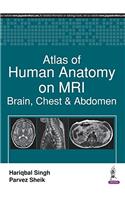 Atlas of Human Anatomy on MRI