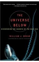 The Universe Below