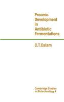 Process Development in Antibiotic Fermentations