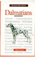 A New Owner's Guide to Dalmatians