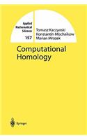 Computational Homology