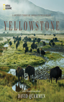 Yellowstone