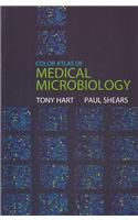 Color Atlas of Medical Microbiology