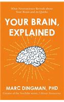 Your Brain, Explained