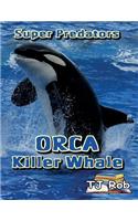 Orca Killer Whale