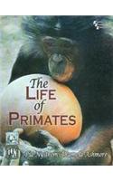 The Life Of Primates