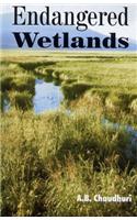 Endangered Wetlands