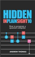 Hidden In Plain Sight 10