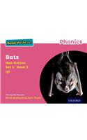 Read Write Inc. Phonics: Pink Set 3 Non-fiction 3 Bats