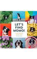 Let's Find Momo!