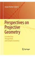 Perspectives on Projective Geometry