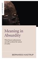 Meaning in Absurdity