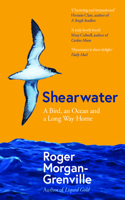 Shearwater