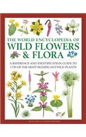 The World Encyclopedia of Wild Flowers & Flora