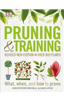 Pruning and Training, Revised New Edition