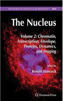 The Nucleus