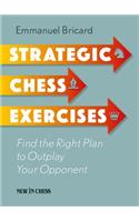 Strategic Chess Exercises