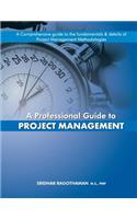 Professional Guide to Project Management