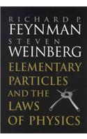 Elementary Particles and the Laws of Physics