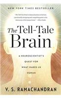 The Tell-Tale Brain