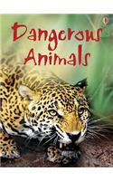 Dangerous Animals