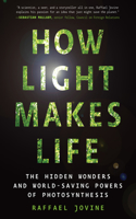 How Light Makes Life