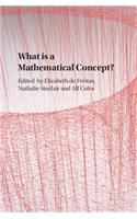 What Is a Mathematical Concept?