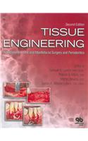 Tissue Engineering: Applications in Oral and Maxillofacial Surgery and Periodontics