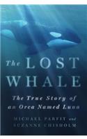 Lost Whale